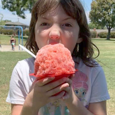 Festival Food Shaved Ice 1
