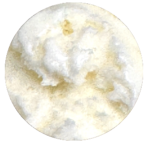 Vanilla